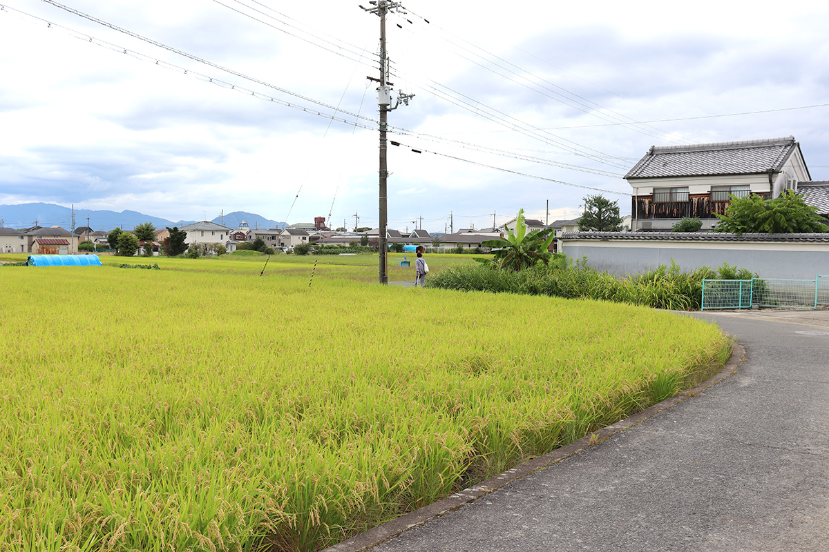 散策道中／施設周辺は水と緑の豊な風景。